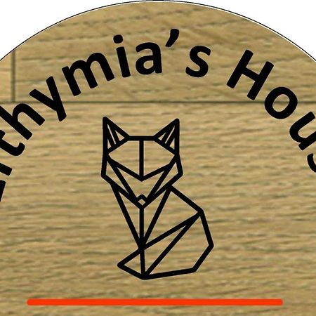 Apartamento Efthymia'S House - Τζάκι & Parking Synikia Mesi Trikalon Exterior foto
