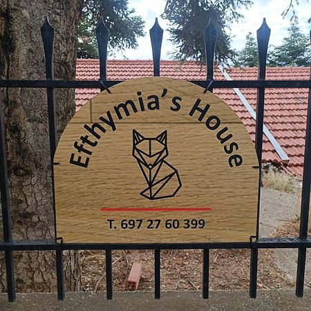Apartamento Efthymia'S House - Τζάκι & Parking Synikia Mesi Trikalon Exterior foto