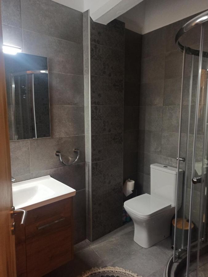 Apartamento Efthymia'S House - Τζάκι & Parking Synikia Mesi Trikalon Exterior foto