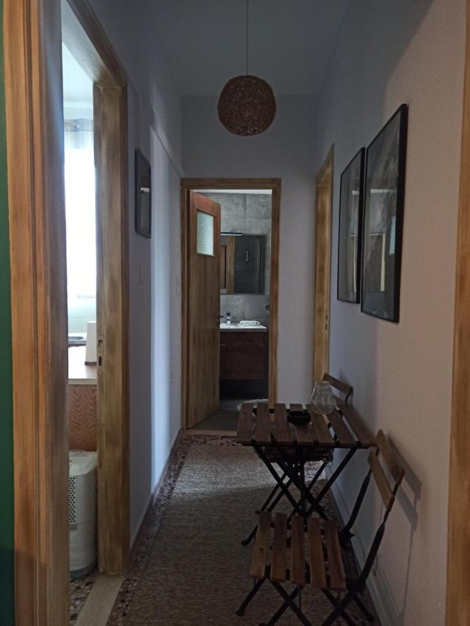 Apartamento Efthymia'S House - Τζάκι & Parking Synikia Mesi Trikalon Exterior foto